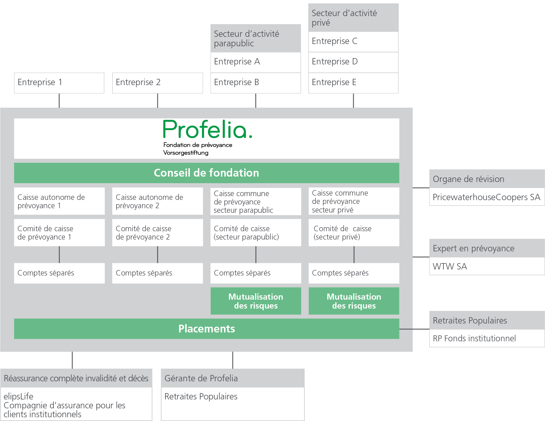 Organigramme conseil fondation Profelia